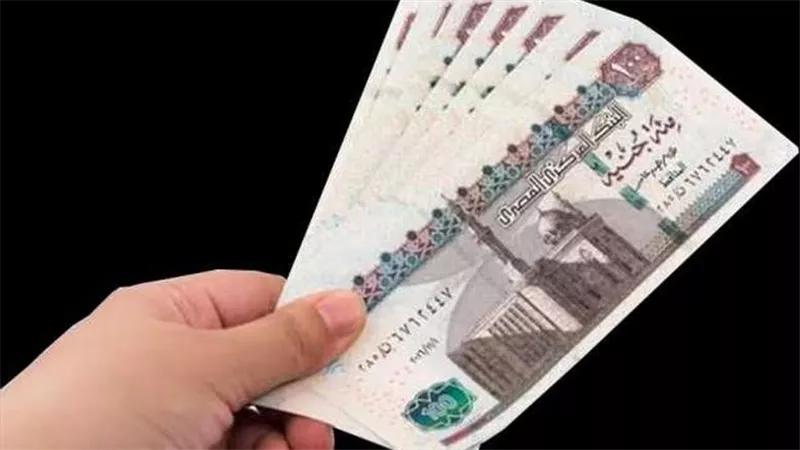 الموعد وقيمة الزيادة.. تفاصيل منحة عيد الأضحى من الحكومة