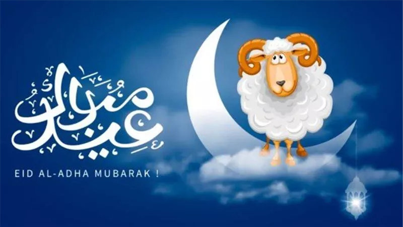  أطول إجازة في السنة.. عدد أيام عطلة عيد الأضحى 2025 وأول أيامه رسميًا 