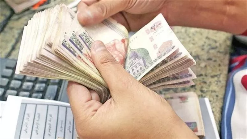 خطوة بخطوة.. كيفية الحصول على معاش المصريين العاملين بالخارج