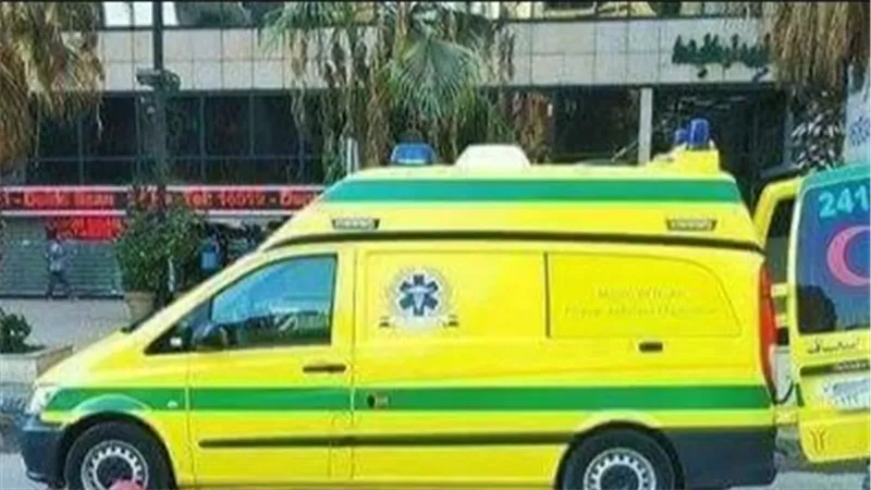 خلافات مالية.. تفاصيل صادمة في تشويه عامل لوجه زوجته بمادة حارقة بحلوان 