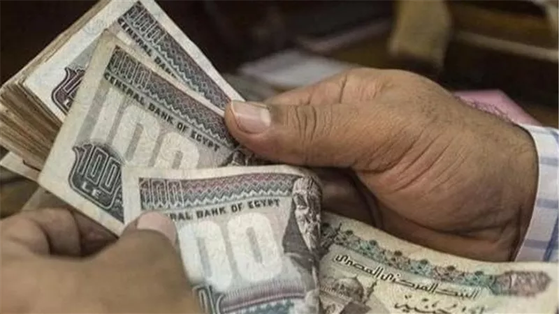  قانون العمل 2025.. شروط جديدة لأجور العاملين بالقطاع الخاص 