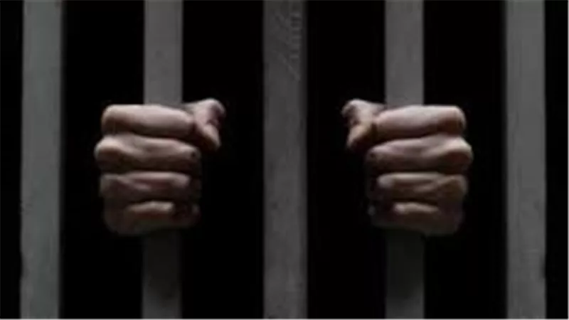 جريمة في شقة ميكانيكي بالإسكندرية..القصة الكاملة لهتك عرض شاب تحت تهديد الكلاب