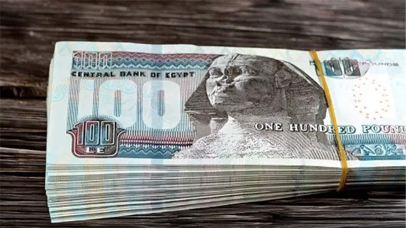 بشرى سارة.. 700 جنيه زيادة شهرية لجميع موظفي الدولة