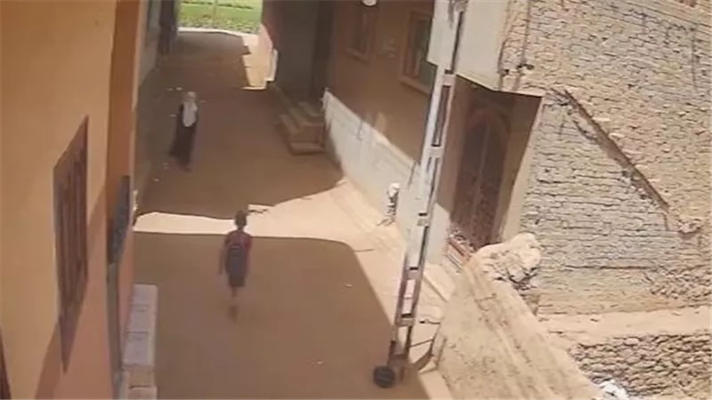 حقيقة فيديو محاولة فتاة لخطف طفل بالدقهلية