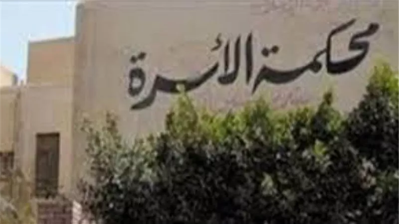 حمل تقيل عليا.. شابة تطلب الخلع في محكمة الأسرة بعد إصابة زوجها بالشلل