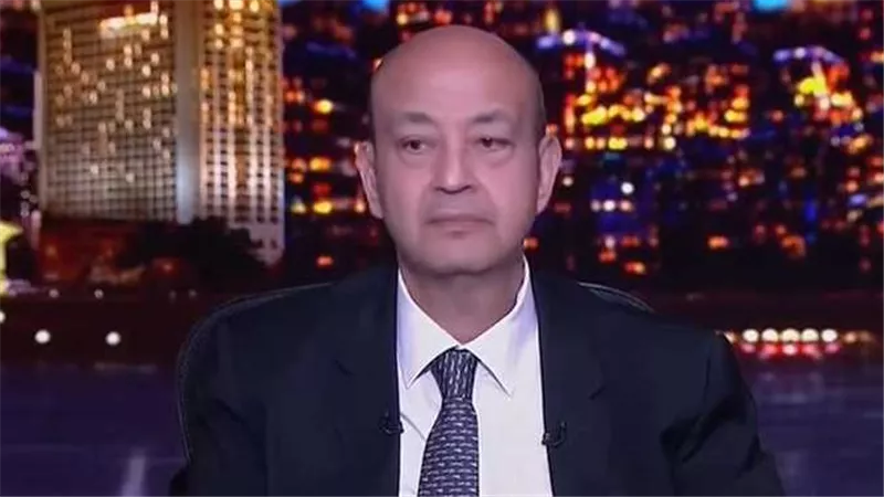 المصريين مش حرامية..تعليق ناري من عمرو أديب على أزمة سرقة مها الصغير للوحة فنانة دنماركية