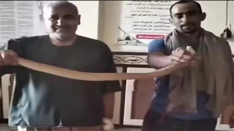 الرفاعي أخرجها من المنبر.. حكاية الكوبرا السامة التي أثارت رعب المصلين بالبحيرة | شاهد