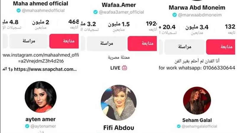 من التمثيل إلى البث المباشر.. أشهر فنانين على «تيك توك»