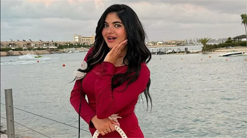 غسيل أموال وفيديوهات خادشة للحياء.. تطورات مثيرة في قضية سوزي الأردنية