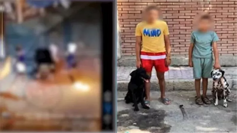 فيديو صادم.. التفاصيل الكاملة لمشاجرة الكلاب الشرسة في الإسكندرية | شاهد