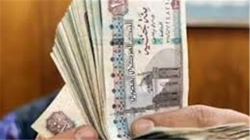 الخطوات والأوراق المطلوبة.. كل ما تريد معرفته عن معاش المطلقات