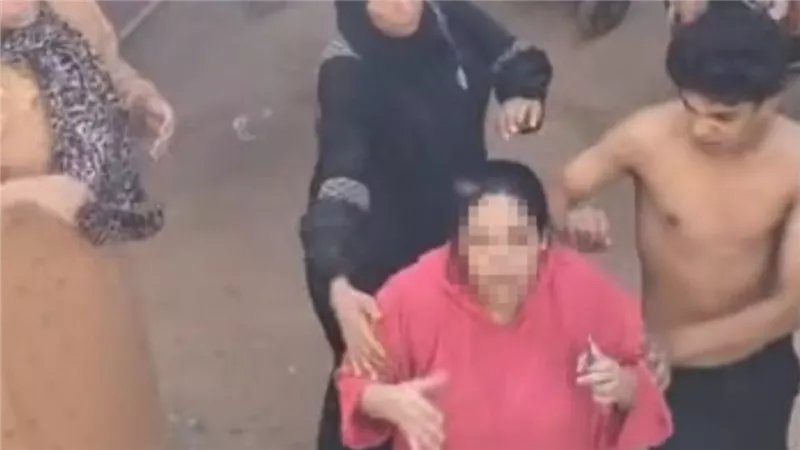 مايهمنيش الحكومة.. القصة الكاملة للقبض على سيدة المرج | فيديو