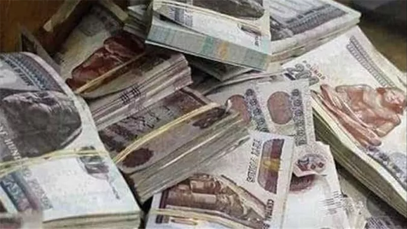 بعد بيان هيئة التأمينات.. موعد صرف معاشات شهر أكتوبر 2025 وطريقة الاستعلام