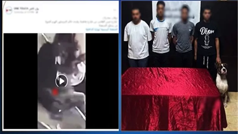فيديو صادم.. 4 شباب يتعاطون المخدرات بالشارع وتحرك عاجل من الداخلية | شاهد