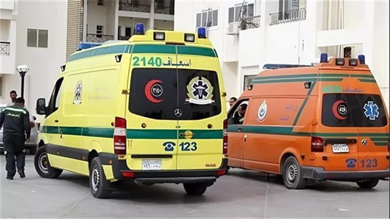 بسبب وجبة كشري.. تفاصيل تسمم 7 طلاب فى المنوفية