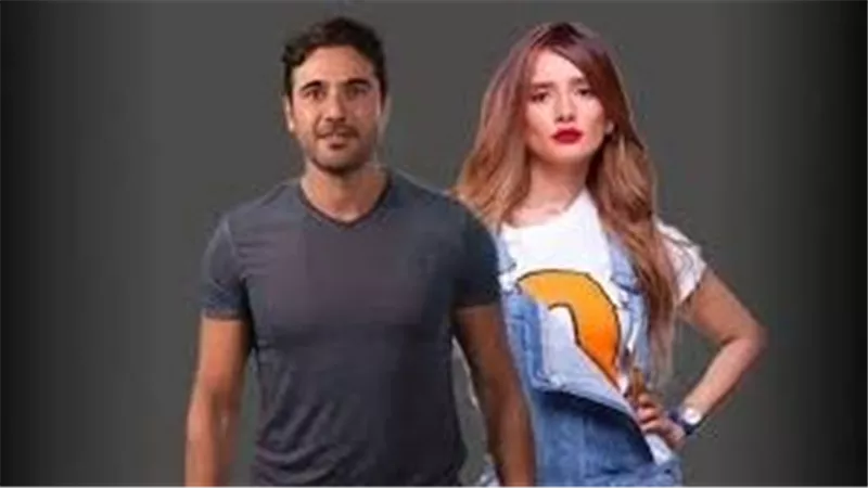 80 ألف جنيه لا تكفي.. قرار قضائي جديد بشأن دعوى زينة بزيادة نفقة طفليها من أحمد عز