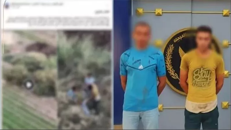التفاصيل الكاملة.. فيديو الكلاب في بني سويف يُشعل السوشيال ميديا | شاهد