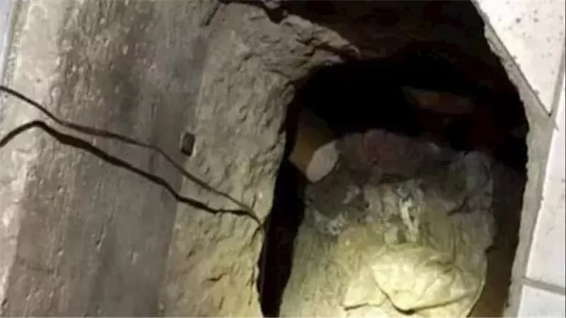 حفروا نفق جوه المسجد.. صفارة تُفشل أغرب محاولة سرقة في الإسكندرية