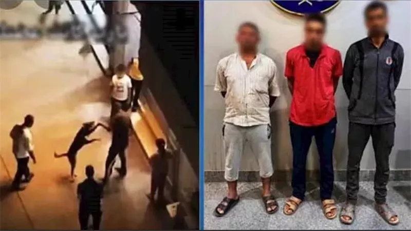 ربطوه من رقبته وسحلوه.. تفاصيل صادمة عن فيديو 