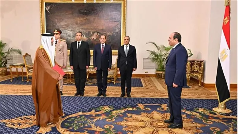 سفير الإمارات يقدم أوراق اعتماده إلى الرئيس السيسي