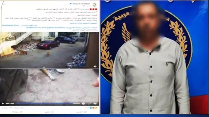طعـام قاتل.. تفاصيل القبض على موظف أنهى حياة كلاب ضالة بالشرابية | فيديو