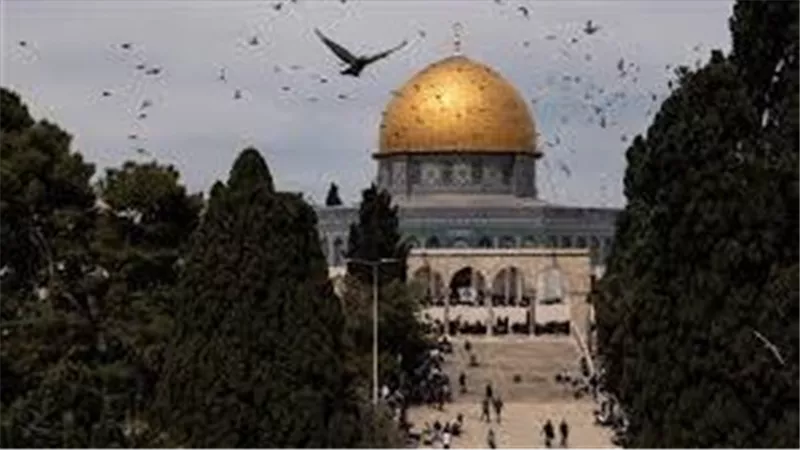 عودة الهدوء بعد منع موظفو الأقصى تهريب حيوانات لداخل الحرم القدسي