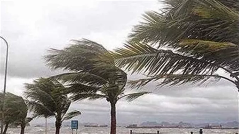 تقلبات جديدة.. الأرصاد تحذر من حالة الطقس غدا الثلاثاء 2-12-2025